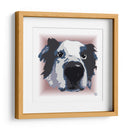 Australian Shepherd 2CL - Corrococho | Cuadro decorativo de Canvas Lab