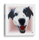 Australian ShepherdCL - Corrococho | Cuadro decorativo de Canvas Lab