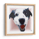Australian ShepherdCL - Corrococho | Cuadro decorativo de Canvas Lab