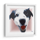 Australian ShepherdCL - Corrococho | Cuadro decorativo de Canvas Lab