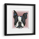 Boston Terrier CL - Corrococho | Cuadro decorativo de Canvas Lab