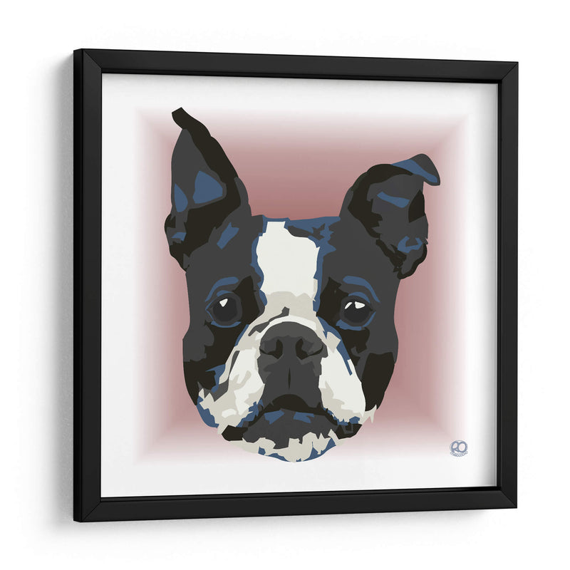 Boston Terrier CL - Corrococho | Cuadro decorativo de Canvas Lab