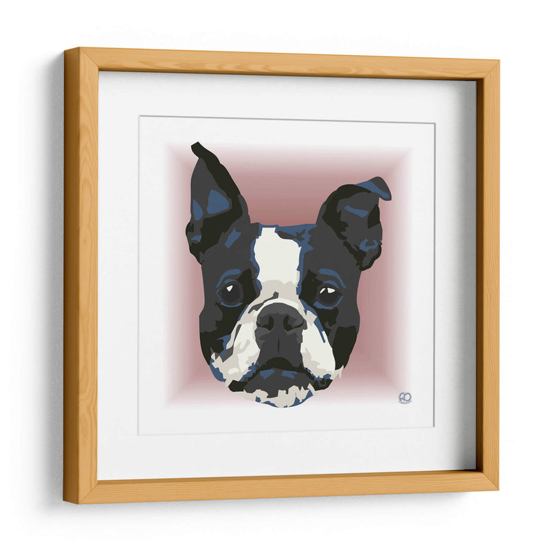 Boston Terrier CL - Corrococho | Cuadro decorativo de Canvas Lab