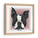 Boston Terrier CL - Corrococho | Cuadro decorativo de Canvas Lab