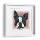 Boston Terrier CL - Corrococho | Cuadro decorativo de Canvas Lab
