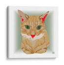 CatCL - Corrococho | Cuadro decorativo de Canvas Lab