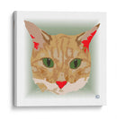 CatfaCL - Corrococho | Cuadro decorativo de Canvas Lab