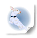 JackRussellSleepyCL - Corrococho | Cuadro decorativo de Canvas Lab
