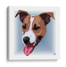 JackRussellTerrierCL - Corrococho | Cuadro decorativo de Canvas Lab