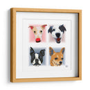 Pets1CL - Corrococho | Cuadro decorativo de Canvas Lab