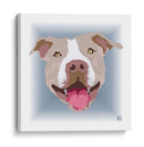 PitBullBCL - Corrococho | Cuadro decorativo de Canvas Lab