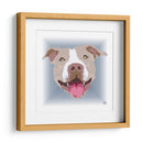 PitBullBCL - Corrococho | Cuadro decorativo de Canvas Lab