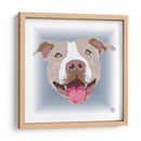 PitBullBCL - Corrococho | Cuadro decorativo de Canvas Lab