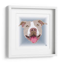 PitBullBCL - Corrococho | Cuadro decorativo de Canvas Lab