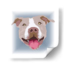 PitBullBCL - Corrococho | Cuadro decorativo de Canvas Lab