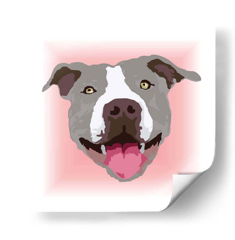 PitBullGCL - Corrococho | Cuadro decorativo de Canvas Lab