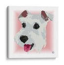 SchnauzerCL - Corrococho | Cuadro decorativo de Canvas Lab