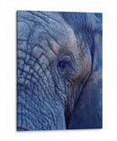 Detalle de elefante | Cuadro decorativo de Canvas Lab