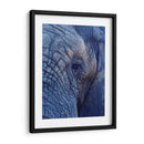 Detalle de elefante | Cuadro decorativo de Canvas Lab