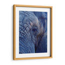 Detalle de elefante | Cuadro decorativo de Canvas Lab