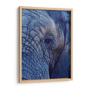Detalle de elefante | Cuadro decorativo de Canvas Lab