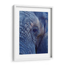 Detalle de elefante | Cuadro decorativo de Canvas Lab