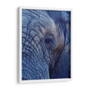 Detalle de elefante | Cuadro decorativo de Canvas Lab