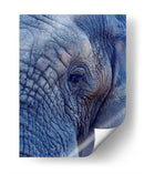 Detalle de elefante | Cuadro decorativo de Canvas Lab