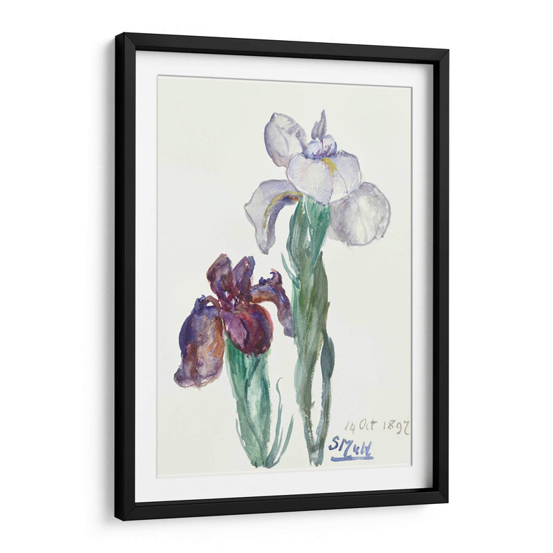 Lirios - Sientje Mesdag-van Houten | Cuadro decorativo de Canvas Lab