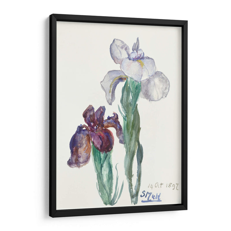 Lirios - Sientje Mesdag-van Houten | Cuadro decorativo de Canvas Lab