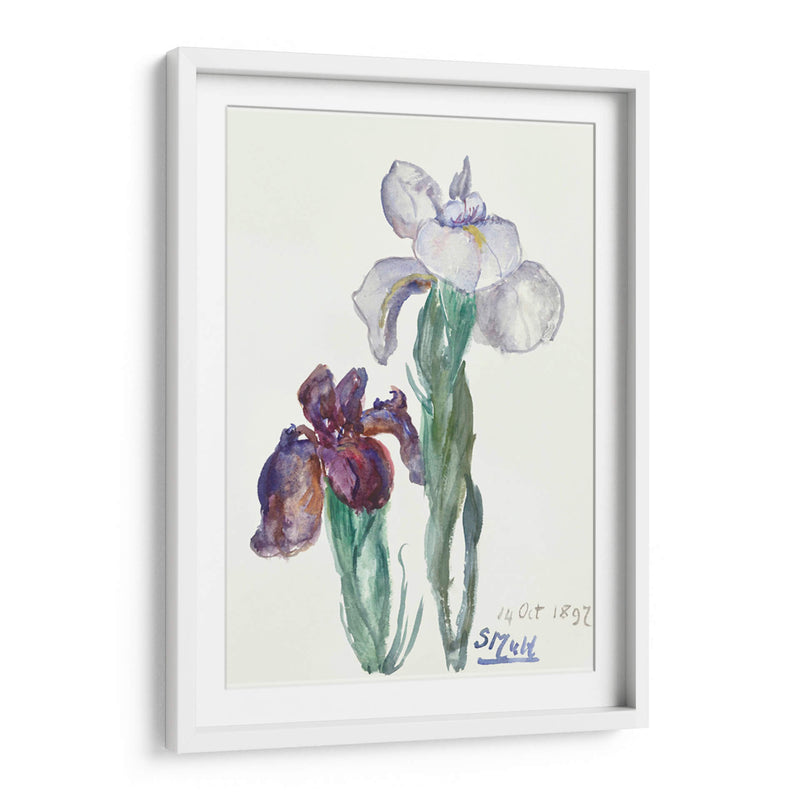 Lirios - Sientje Mesdag-van Houten | Cuadro decorativo de Canvas Lab