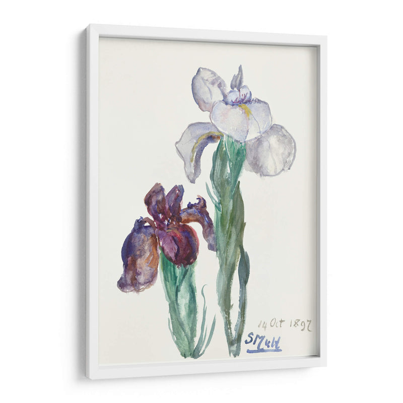 Lirios - Sientje Mesdag-van Houten | Cuadro decorativo de Canvas Lab