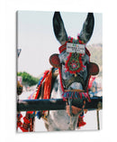 Burro taxi | Cuadro decorativo de Canvas Lab