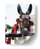 Burro taxi | Cuadro decorativo de Canvas Lab
