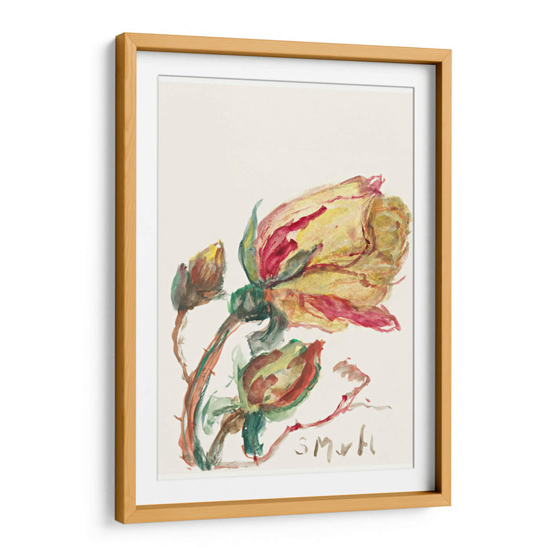 Rosa - Sientje Mesdag-van Houten | Cuadro decorativo de Canvas Lab