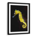 Caballito amarillo | Cuadro decorativo de Canvas Lab