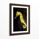 Caballito amarillo | Cuadro decorativo de Canvas Lab