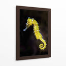 Caballito amarillo | Cuadro decorativo de Canvas Lab