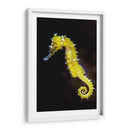 Caballito amarillo | Cuadro decorativo de Canvas Lab