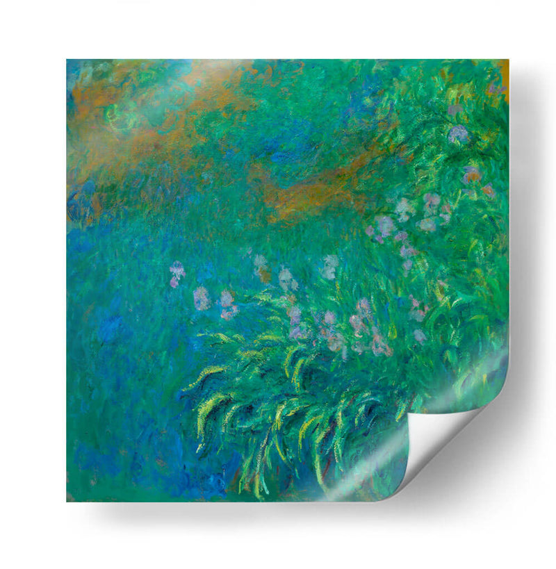 Irises - Claude Monet | Cuadro decorativo de Canvas Lab