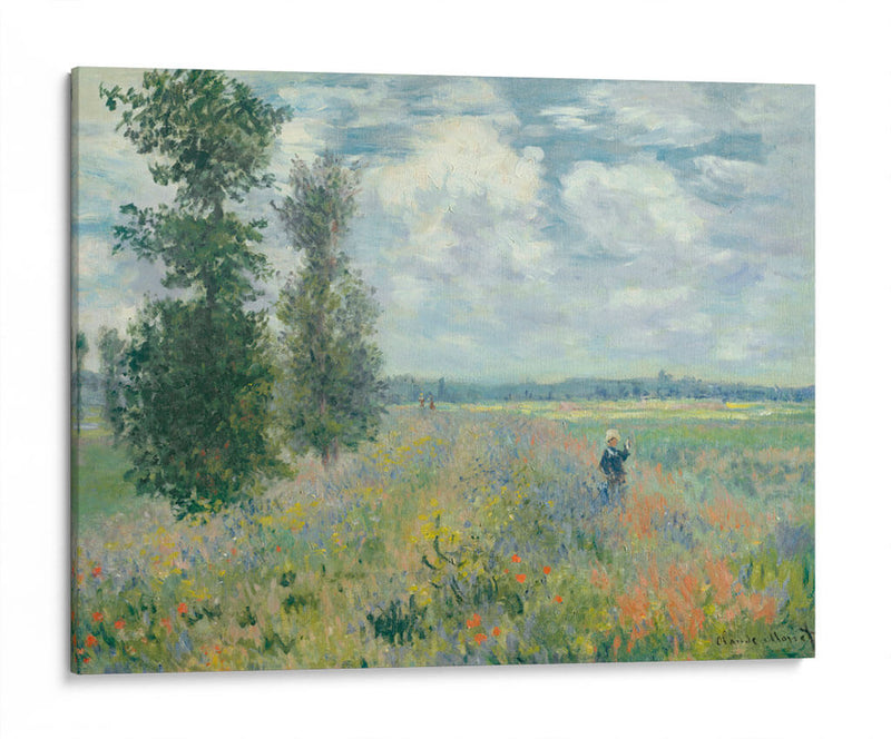 Campos de amapolas cerca de Argenteuil - Claude Monet | Cuadro decorativo de Canvas Lab