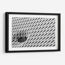 Detalle ovalado | Cuadro decorativo de Canvas Lab