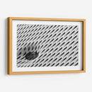 Detalle ovalado | Cuadro decorativo de Canvas Lab