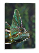 Camaleón verde | Cuadro decorativo de Canvas Lab