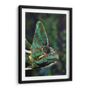 Camaleón verde | Cuadro decorativo de Canvas Lab