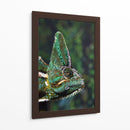 Camaleón verde | Cuadro decorativo de Canvas Lab