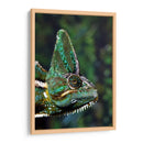 Camaleón verde | Cuadro decorativo de Canvas Lab