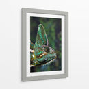 Camaleón verde | Cuadro decorativo de Canvas Lab