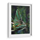 Camaleón verde | Cuadro decorativo de Canvas Lab