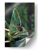 Camaleón verde | Cuadro decorativo de Canvas Lab